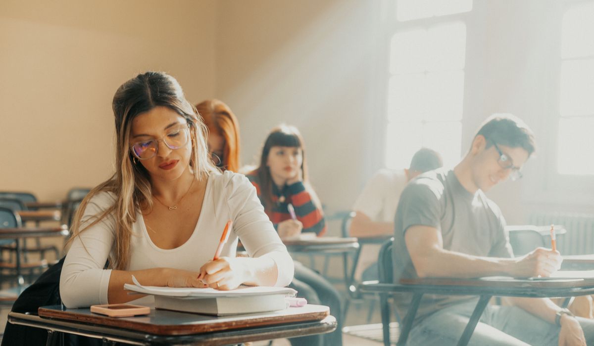 How to structure a persuasive essay for university assignments